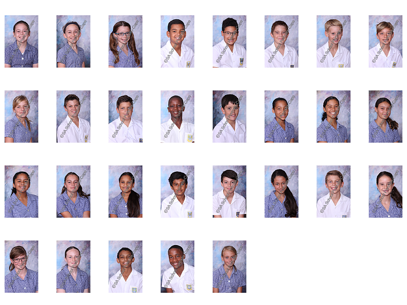 Gr 6B