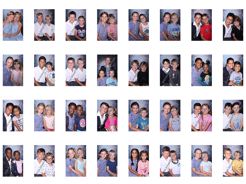 Siblings