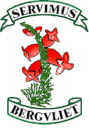 Bergvliet Primary Badge