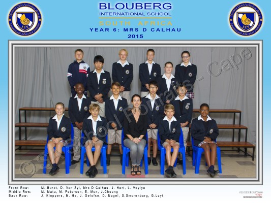 Y6 - Calhau.jpg